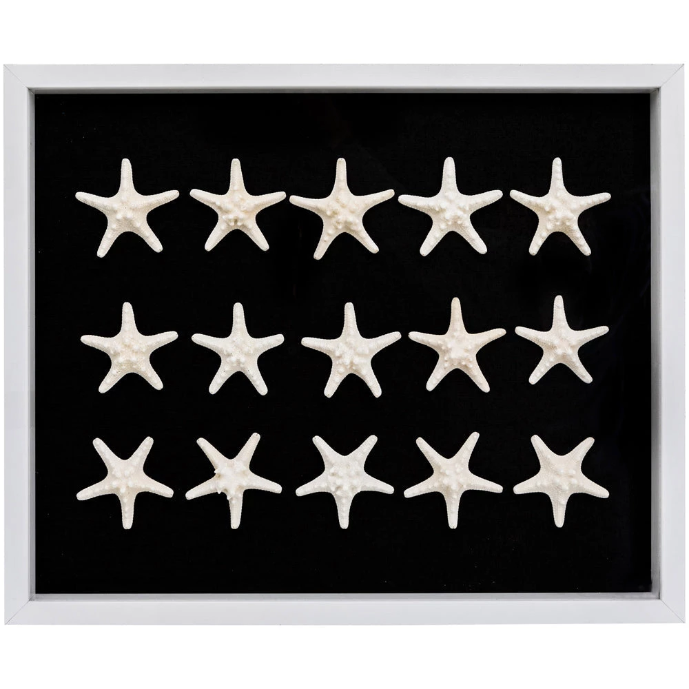 Jamie Dietrich Designs Sealife Shadow Box - Black/White HOME DÉCOR 4 Jamie Dietrich Designs Sealife Shadow Box - Black/White HOME DÉCOR