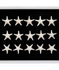 Jamie Dietrich Designs Sealife Shadow Box - Black/White HOME DÉCOR