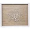 Jamie Dietrich Designs Sealife Shadow Box - Natural/White HOME DÉCOR