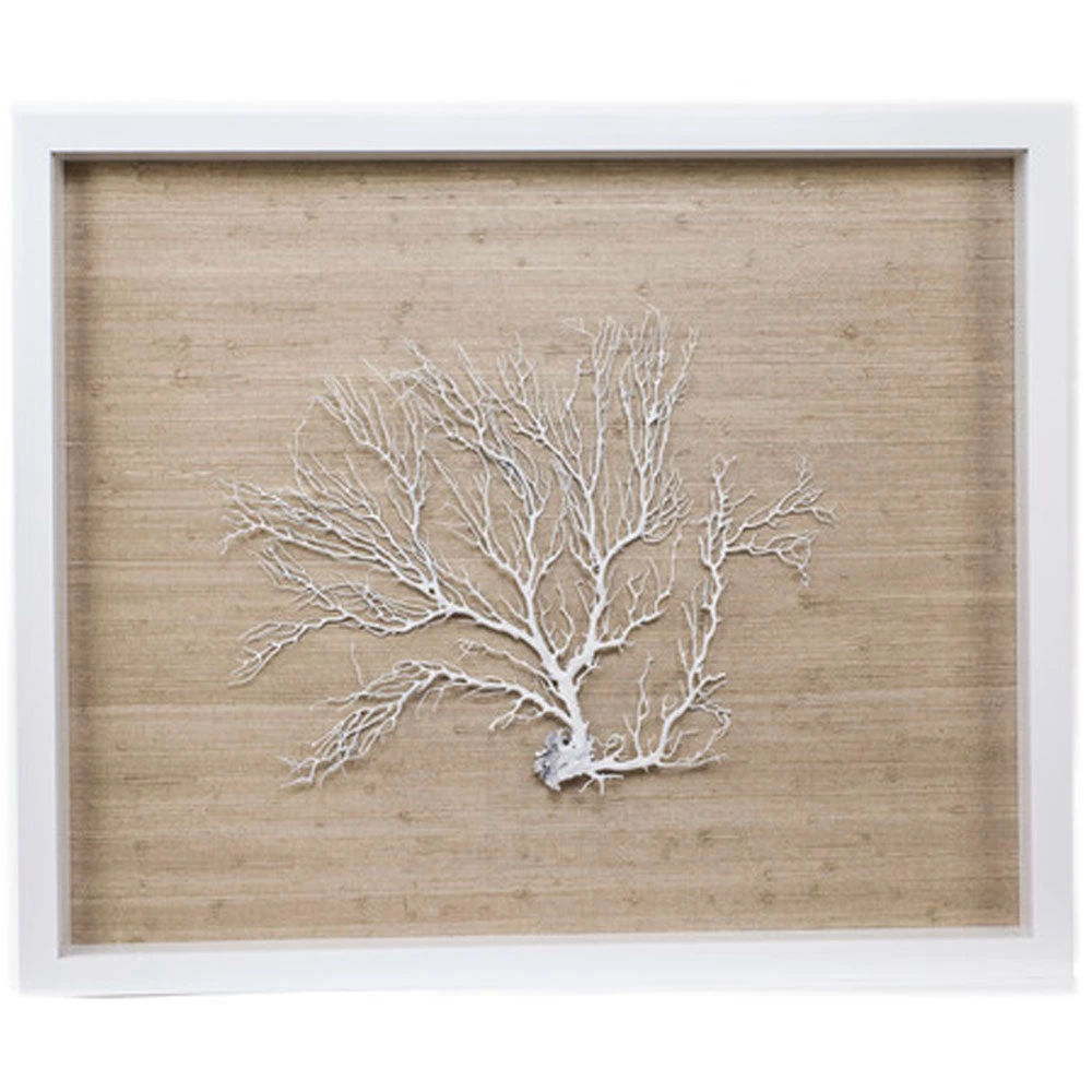 Jamie Dietrich Designs Sealife Shadow Box - Natural/White 2 Jamie Dietrich Designs Sealife Shadow Box - Natural/White
