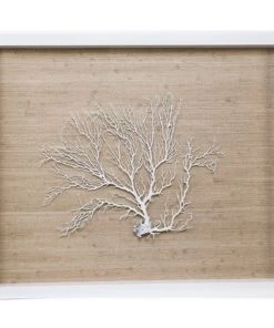 Jamie Dietrich Designs HOME DÉCOR Sealife Shadow Box - Natural/White