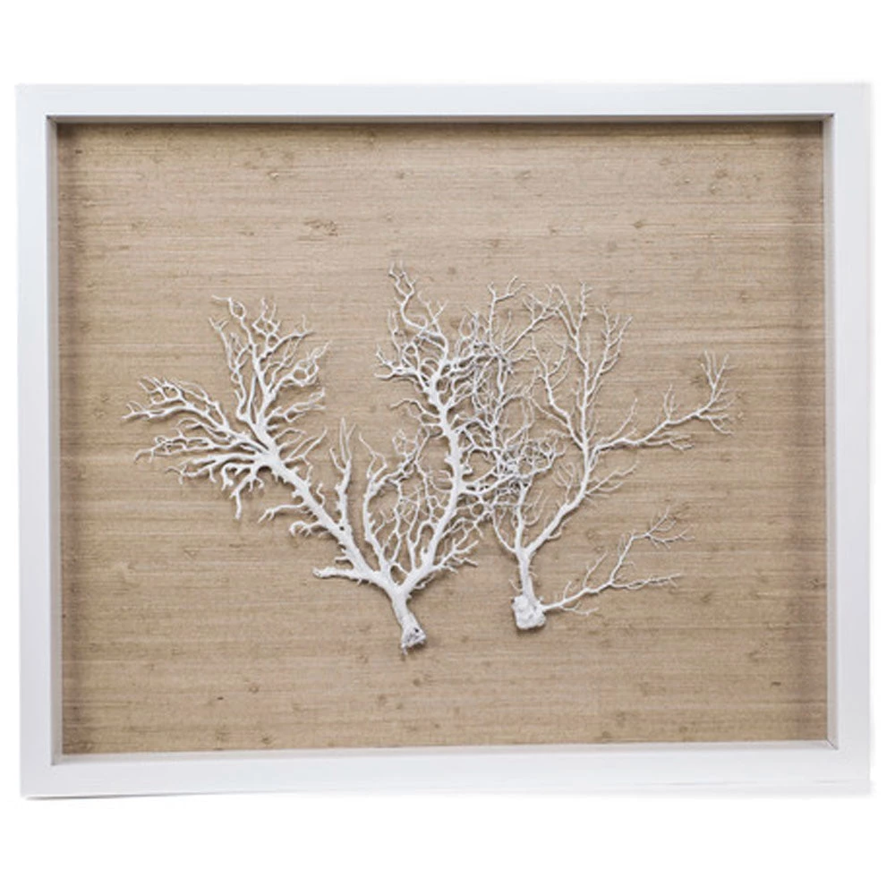 Jamie Dietrich Designs Sealife Shadow Box - Natural/White 1 Jamie Dietrich Designs Sealife Shadow Box - Natural/White