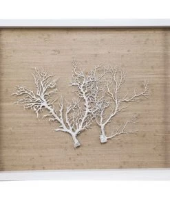 Jamie Dietrich Designs Sealife Shadow Box - Natural/White