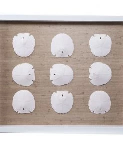 Jamie Dietrich Designs HOME DÉCOR Sealife Shadow Box - Natural/White