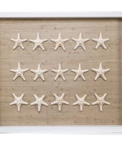 Jamie Dietrich Designs Sealife Shadow Box - Natural/White HOME DÉCOR