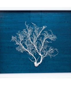 Jamie Dietrich Designs Sealife Shadow Box - Navy/White HOME DÉCOR 7 Jamie Dietrich Designs Sealife Shadow Box - Navy/White HOME DÉCOR