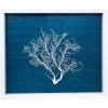 Jamie Dietrich Designs HOME DÉCOR Sealife Shadow Box - Navy/White