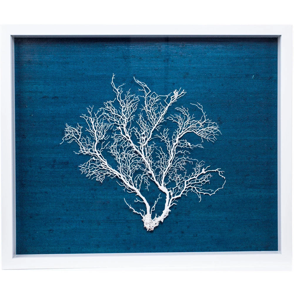 Jamie Dietrich Designs HOME DÉCOR Sealife Shadow Box - Navy/White 1 Jamie Dietrich Designs HOME DÉCOR Sealife Shadow Box - Navy/White