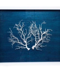Jamie Dietrich Designs Sealife Shadow Box - Navy/White HOME DÉCOR
