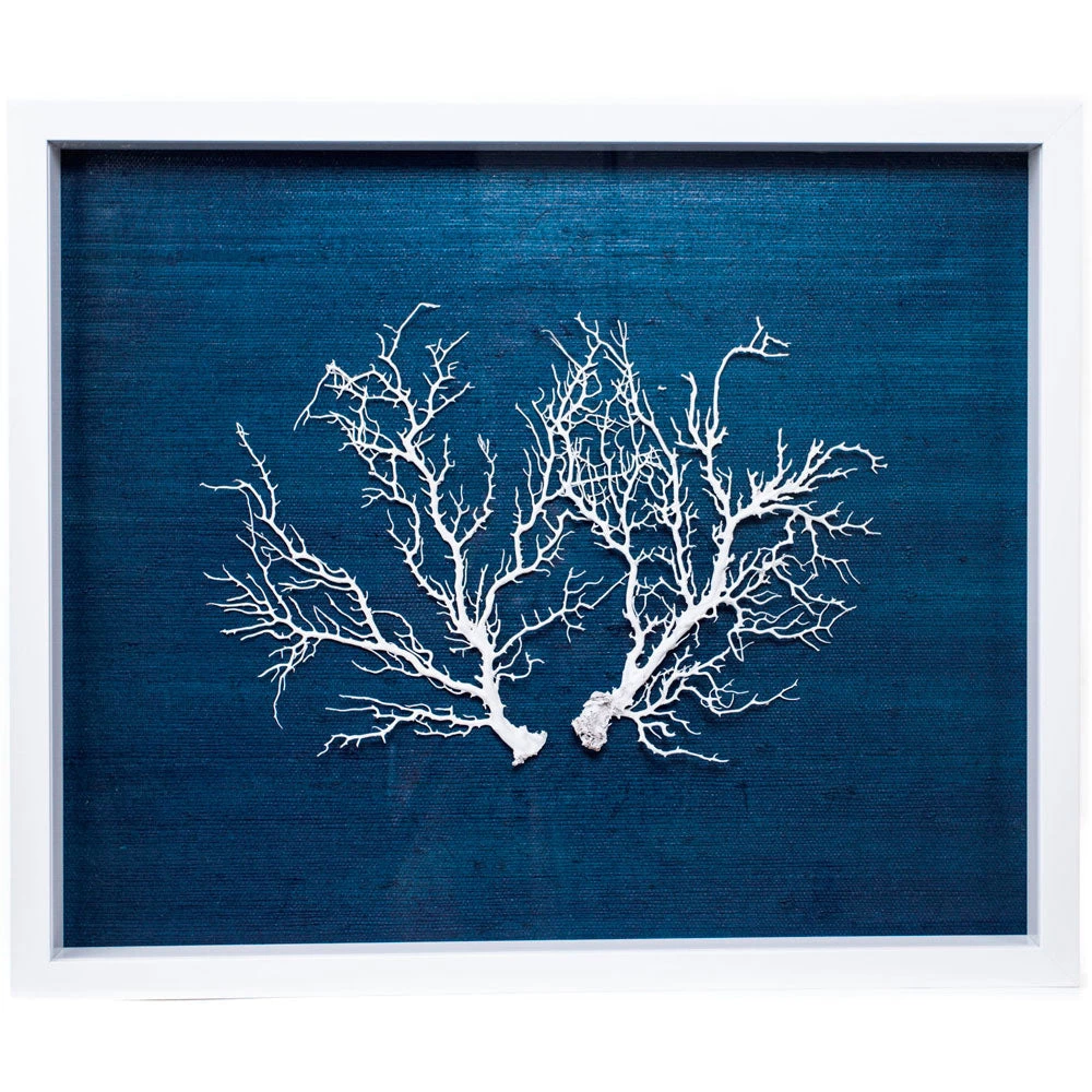 Jamie Dietrich Designs HOME DÉCOR Sealife Shadow Box - Navy/White 1 Jamie Dietrich Designs HOME DÉCOR Sealife Shadow Box - Navy/White