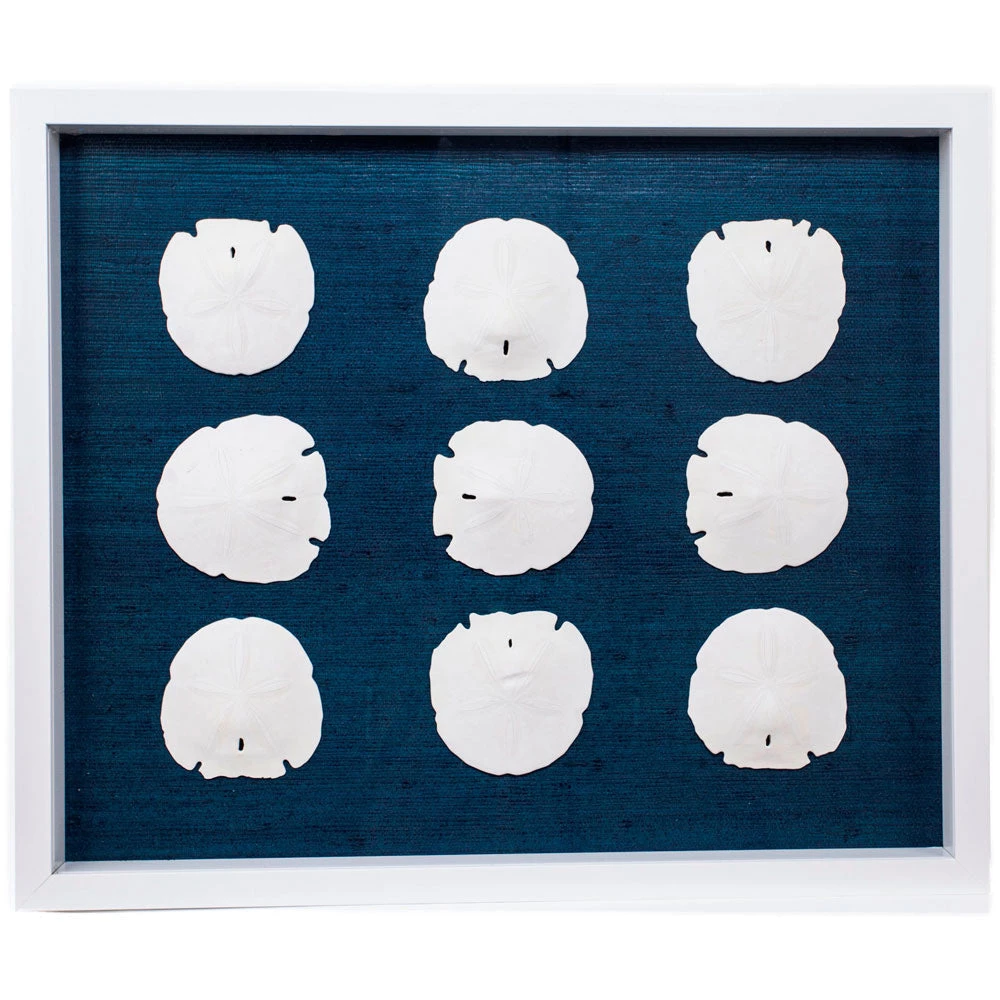 Jamie Dietrich Designs HOME DÉCOR Sealife Shadow Box - Navy/White 3 Jamie Dietrich Designs HOME DÉCOR Sealife Shadow Box - Navy/White