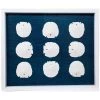 Jamie Dietrich Designs Sealife Shadow Box - Navy/White HOME DÉCOR