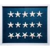 Jamie Dietrich Designs Sealife Shadow Box - Navy/White HOME DÉCOR