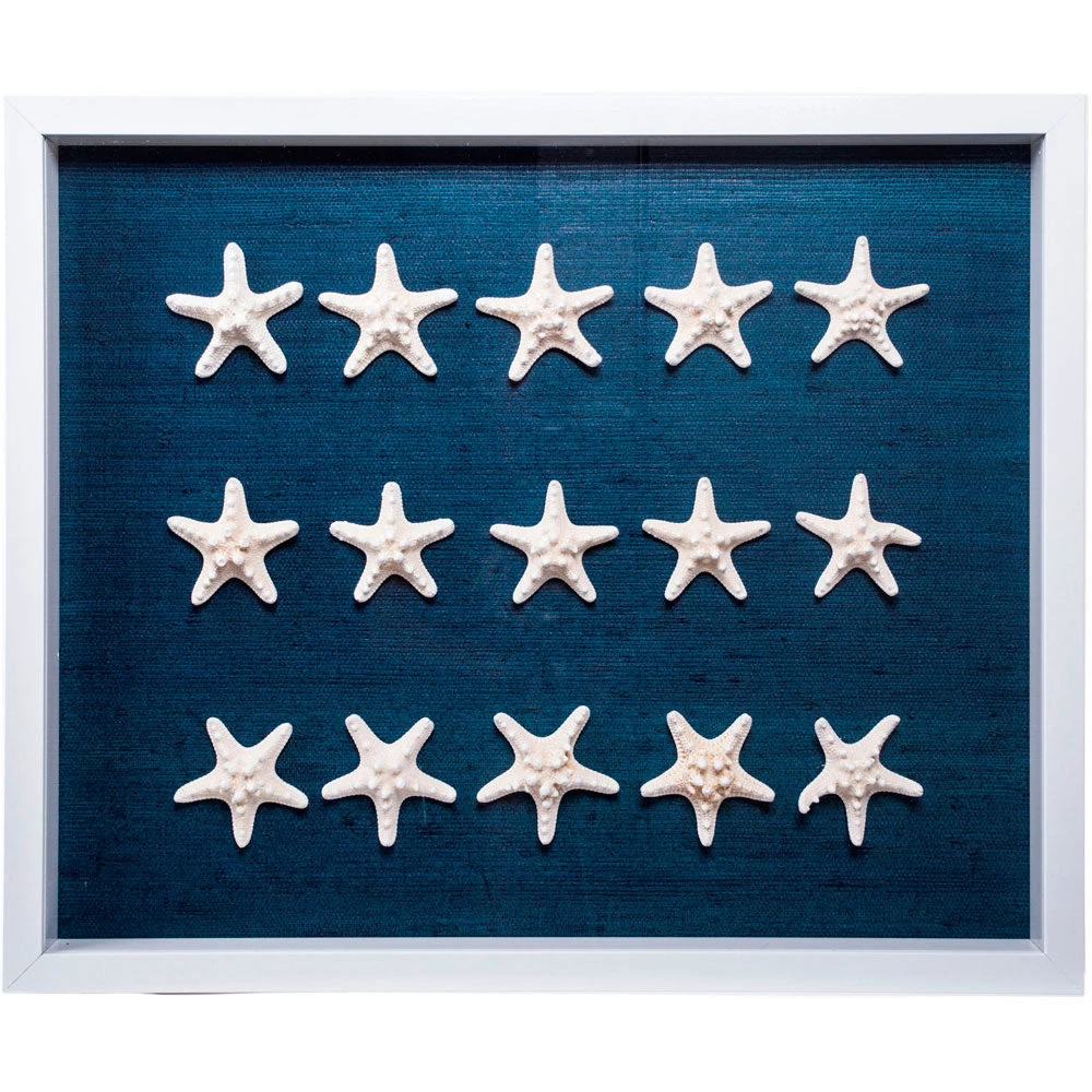 Jamie Dietrich Designs HOME DÉCOR Sealife Shadow Box - Navy/White 4 Jamie Dietrich Designs HOME DÉCOR Sealife Shadow Box - Navy/White