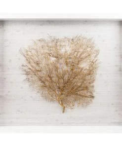 Jamie Dietrich Designs Sealife Shadow Box - White/Gold HOME DÉCOR