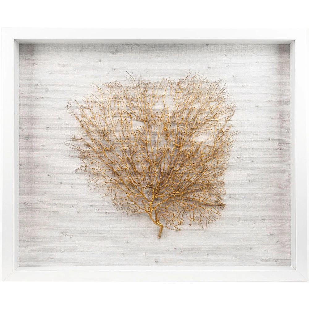 Jamie Dietrich Designs Sealife Shadow Box - White/Gold HOME DÉCOR 2 Jamie Dietrich Designs Sealife Shadow Box - White/Gold HOME DÉCOR