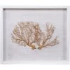 Jamie Dietrich Designs Sealife Shadow Box - White/Gold HOME DÉCOR