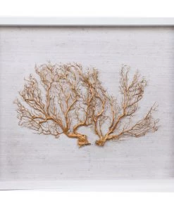 Jamie Dietrich Designs Sealife Shadow Box - White/Gold HOME DÉCOR 6 Jamie Dietrich Designs Sealife Shadow Box - White/Gold HOME DÉCOR