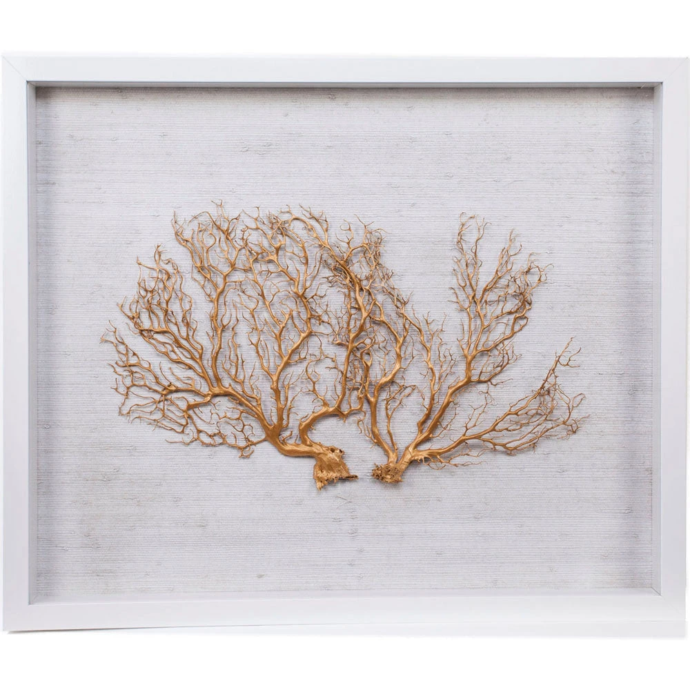 Jamie Dietrich Designs Sealife Shadow Box - White/Gold HOME DÉCOR 3 Jamie Dietrich Designs Sealife Shadow Box - White/Gold HOME DÉCOR