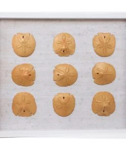 Jamie Dietrich Designs Sealife Shadow Box - White/Gold HOME DÉCOR