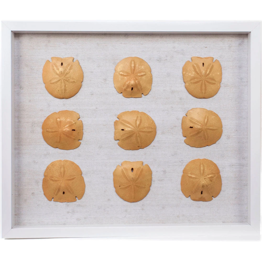 Jamie Dietrich Designs Sealife Shadow Box - White/Gold HOME DÉCOR 4 Jamie Dietrich Designs Sealife Shadow Box - White/Gold HOME DÉCOR