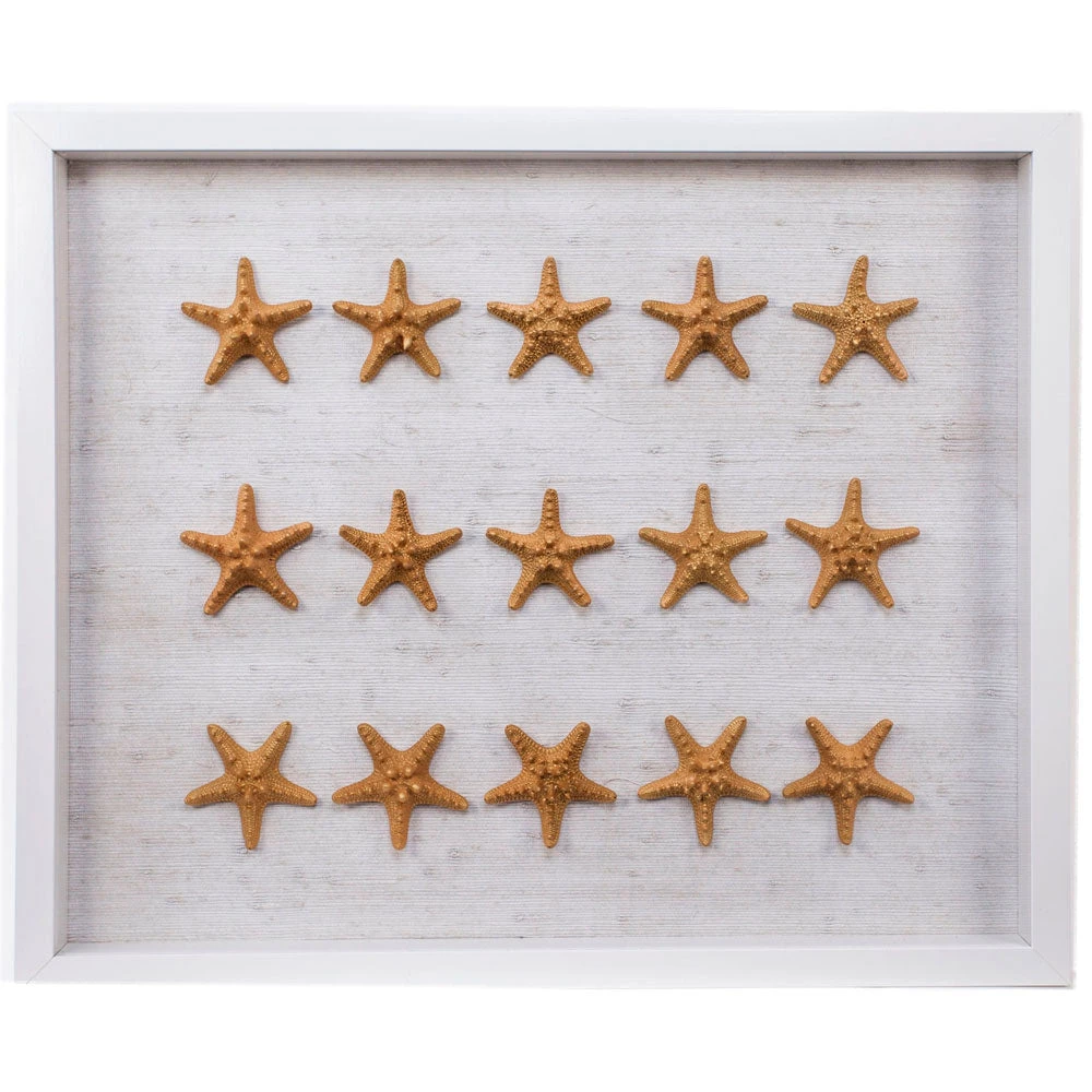 Jamie Dietrich Designs Sealife Shadow Box - White/Gold HOME DÉCOR 1 Jamie Dietrich Designs Sealife Shadow Box - White/Gold HOME DÉCOR