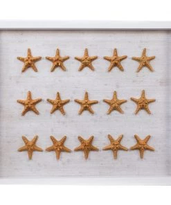 Jamie Dietrich Designs HOME DÉCOR Sealife Shadow Box - White/Gold