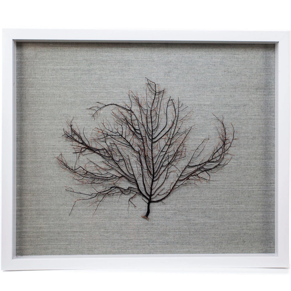 Jamie Dietrich Designs HOME DÉCOR Sealife Shadow Box - Blue-Gray/Natural 1 Jamie Dietrich Designs HOME DÉCOR Sealife Shadow Box - Blue-Gray/Natural