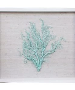 Jamie Dietrich Designs Sealife Shadow Box - White/Ocean