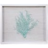 Jamie Dietrich Designs Sealife Shadow Box - White/Ocean