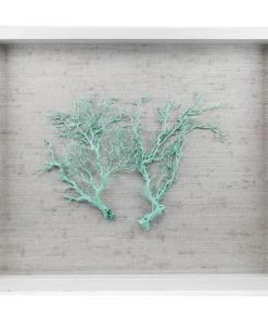 Jamie Dietrich Designs Sealife Shadow Box - White/Ocean