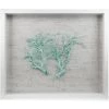 Jamie Dietrich Designs Sealife Shadow Box - White/Ocean