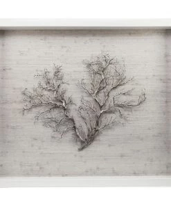 Jamie Dietrich Designs Sealife Shadow Box - White/Silver