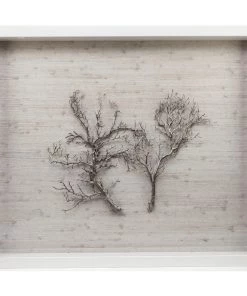 Jamie Dietrich Designs HOME DÉCOR Sealife Shadow Box - White/Silver 6 Jamie Dietrich Designs HOME DÉCOR Sealife Shadow Box - White/Silver