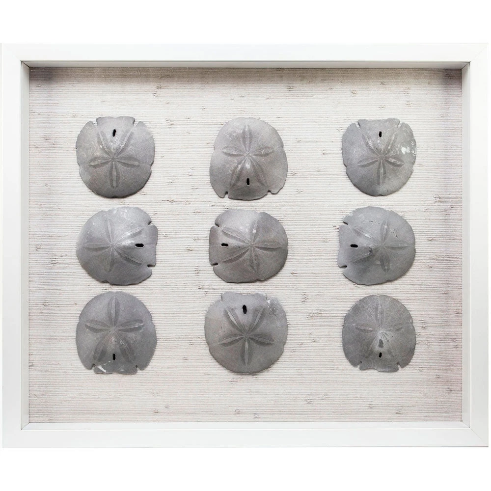 Jamie Dietrich Designs HOME DÉCOR Sealife Shadow Box - White/Silver 4 Jamie Dietrich Designs HOME DÉCOR Sealife Shadow Box - White/Silver