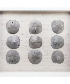 Jamie Dietrich Designs Sealife Shadow Box - White/Silver HOME DÉCOR