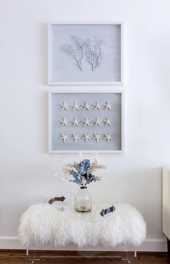 Jamie Dietrich Designs HOME DÉCOR Sealife Shadow Box - White/White 5 Jamie Dietrich Designs HOME DÉCOR Sealife Shadow Box - White/White