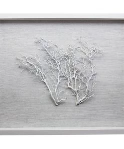 Jamie Dietrich Designs HOME DÉCOR Sealife Shadow Box - White/White