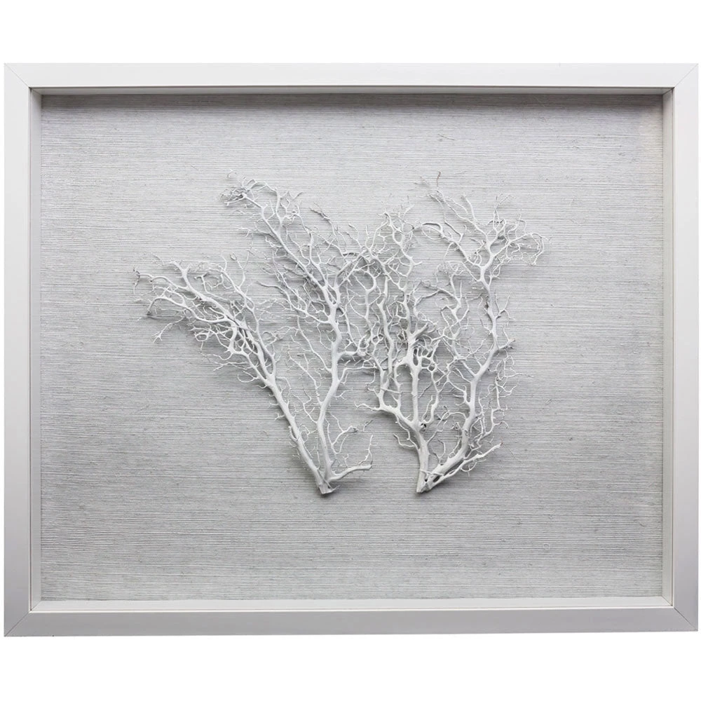 Jamie Dietrich Designs HOME DÉCOR Sealife Shadow Box - White/White 3 Jamie Dietrich Designs HOME DÉCOR Sealife Shadow Box - White/White