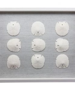 Jamie Dietrich Designs HOME DÉCOR Sealife Shadow Box - White/White