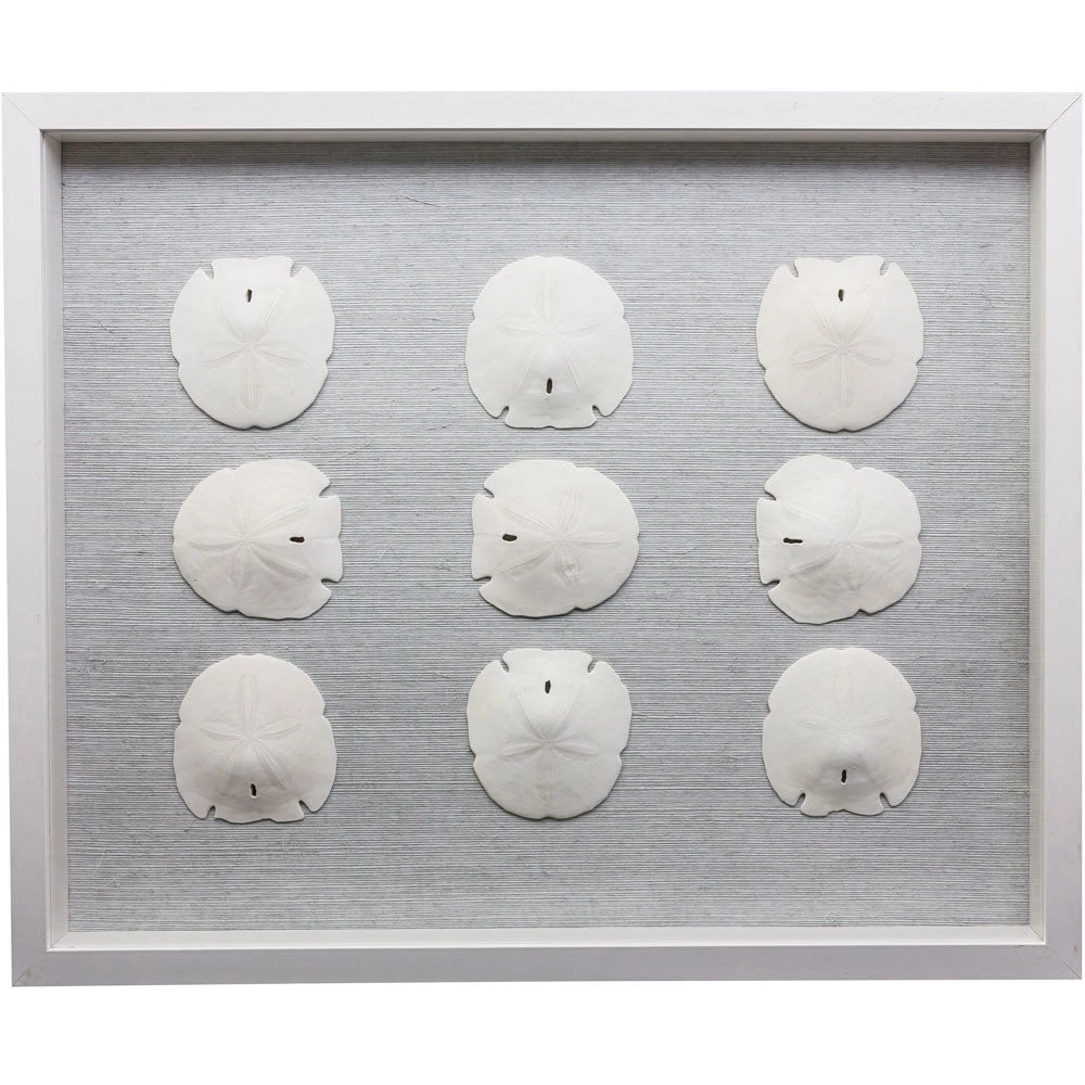 Jamie Dietrich Designs Sealife Shadow Box - White/White 3 Jamie Dietrich Designs Sealife Shadow Box - White/White