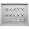 Jamie Dietrich Designs HOME DÉCOR Sealife Shadow Box - White/White
