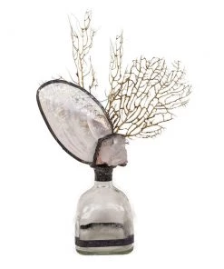 Jamie Dietrich Designs Shell Geode SeaFan Bottle