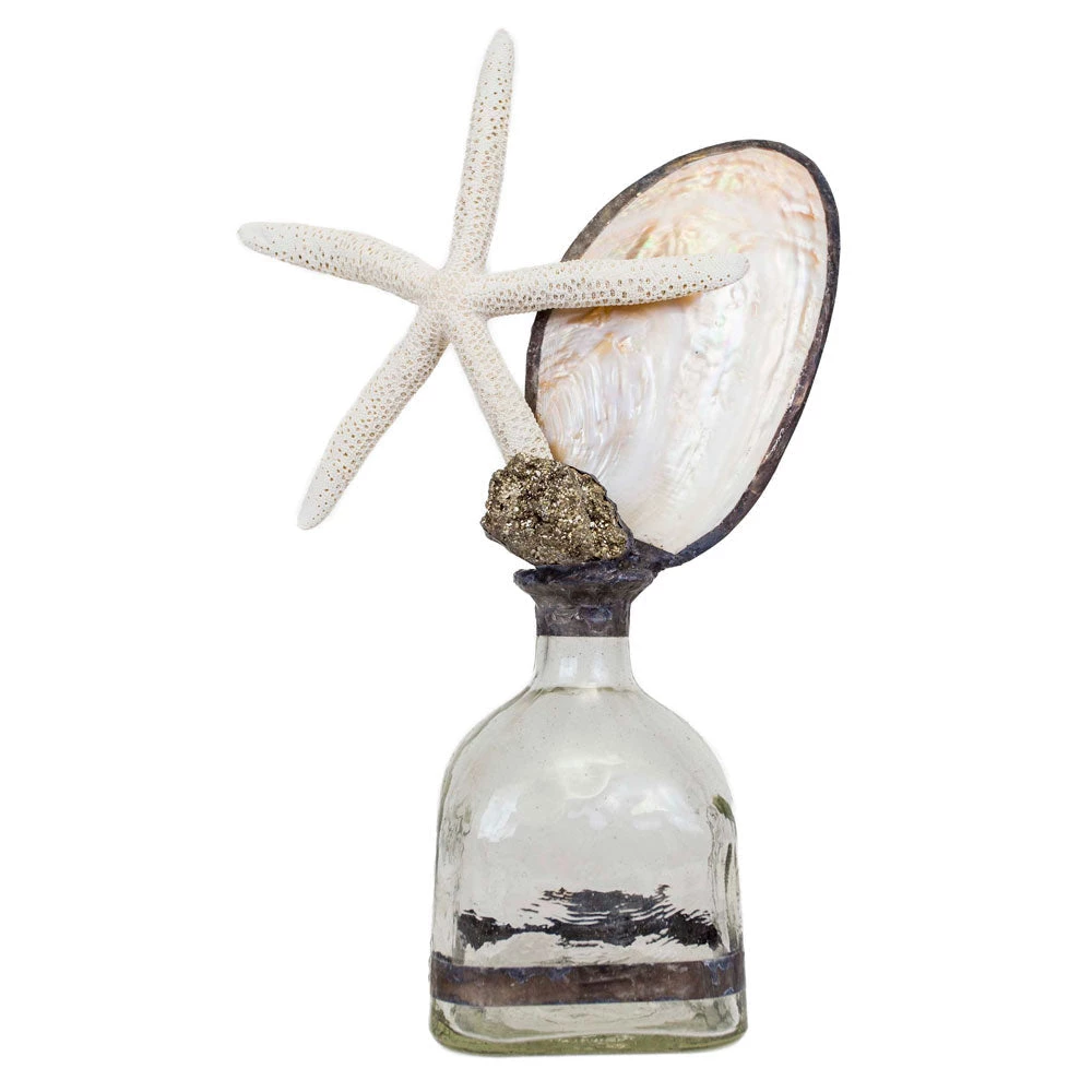 Jamie Dietrich Designs Starfish Shell Bottle HOME DÉCOR 3 Jamie Dietrich Designs Starfish Shell Bottle HOME DÉCOR