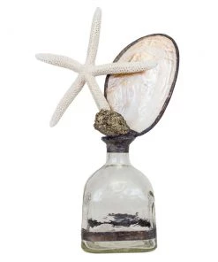 Jamie Dietrich Designs Starfish Shell Bottle