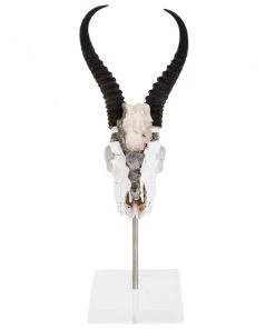 Jamie Dietrich Designs Colbee Stand Mount Springbok