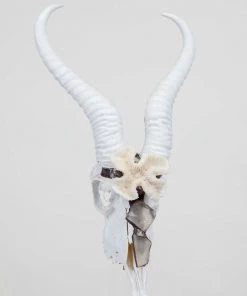 Jamie Dietrich Designs Lowan Stand Mount Springbok HOME DÉCOR