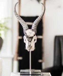 Jamie Dietrich Designs HOME DÉCOR Lutana Stand Mount Springbok