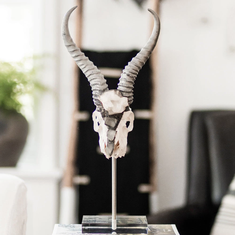 Jamie Dietrich Designs HOME DÉCOR Lutana Stand Mount Springbok 2 Jamie Dietrich Designs HOME DÉCOR Lutana Stand Mount Springbok