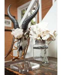 Jamie Dietrich Designs HOME DÉCOR Tasman Stand Mount Springbok
